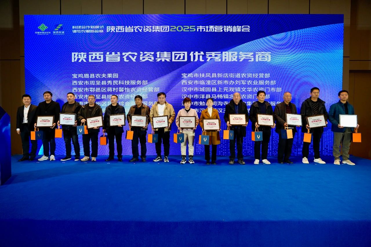 1732776222645592.jpg 3.jpg